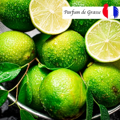 parfum citron vert