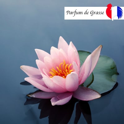 parfum fleur de lotus