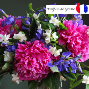 parfum iris jasmin