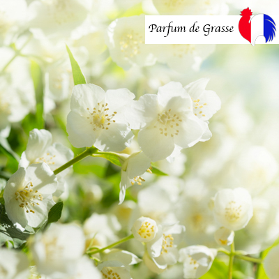 parfum Jasmin