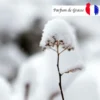 Perce Neige