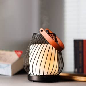 diffuseur sans fil