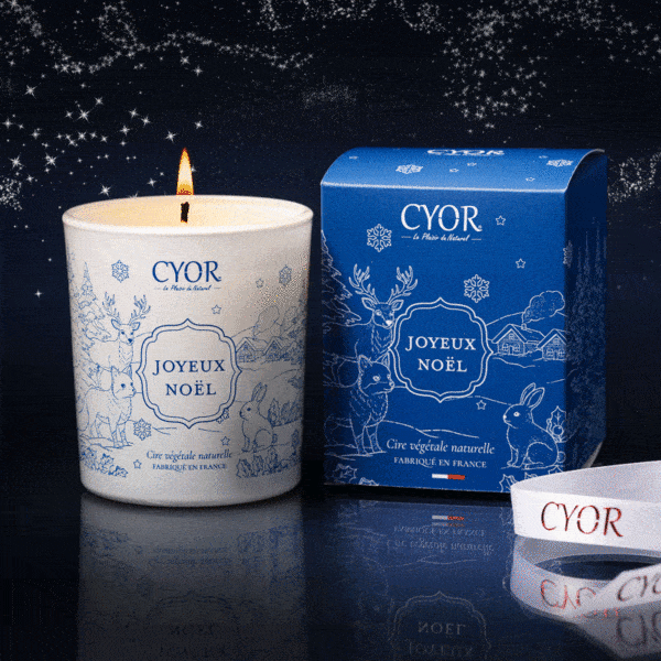 bougie artisanale joyeux noël